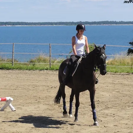 Baltic Horse Retreat *